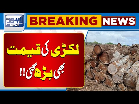 A Surprising increase in the Price of Wood | Winter Season | Lahore News HD