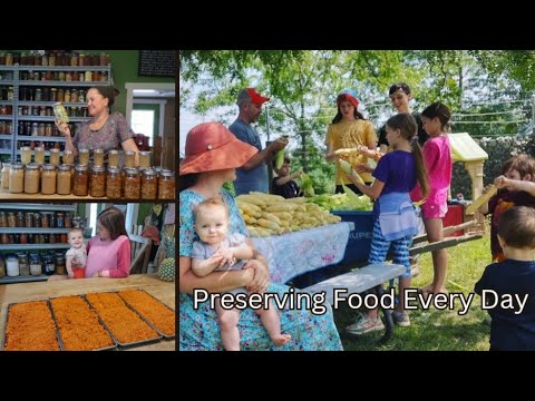 Easy Food Preservation ~ Canning, Drying, and Freezing #everybitcountschallenge