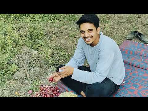 पार्टी vlog #funny #agriculture #masti #vlog #food #daal