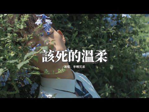 半噸兄弟 - 該死的溫柔『你這該死的溫柔，讓我心在痛淚在流，就在和你說分手以後，想忘記已不能夠。』【動態歌詞MV】