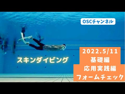 ジャックナイフ(ヘッドファースト)やフィンキック、水平潜水のフォームチェックしてスキンダイビングライセンス取得を目指そう！横浜国際プールのダイビングプール（水深5メートル）