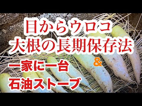 目からうろこの大根の保存方法🥦/2ヶ月前に土に埋めた大根／石油ストーブは凄い！