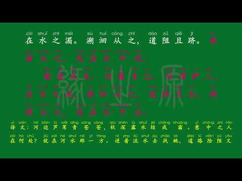 069 八年级下册 蒹葭 先秦 佚名 解释译文 无障碍阅读 拼音跟读 初中背诵 古诗 唐诗宋词 唐诗三百首 宋词三百首 文言文 古文