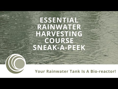 Why You DON'T Need Chemicals or Tech for Rainwater Filtering | Your Rainwater Tank is a Bio-Reactor!