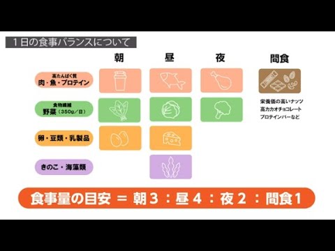 1日の食事バランスは「朝3：昼4：夜2：間食1」が最適｜3Dバランスブレード