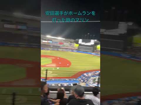 安田選手×zozoマリン