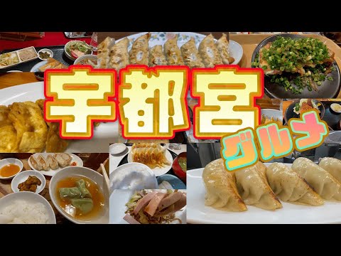 【宇都宮グルメ】言わずと知れた餃子の街宇都宮で食べ比べを行いました！餃子グルメガイドとして見ていただけると幸いです！