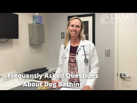 Frequently Asked Questions About Dog Bathing