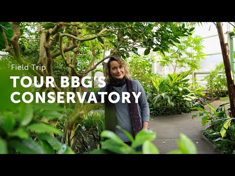 Tour BROOKLYN BOTANIC GARDEN'S Tropical Conservatory — Ep. 357