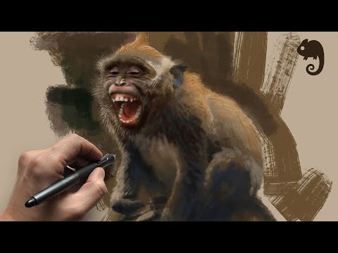 90MAC Sketchgroup: MONKEYS