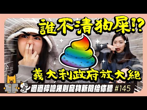 EP. 145「誰不清狗屎！」義大利政府放大絕｜毛爸媽碎碎唸