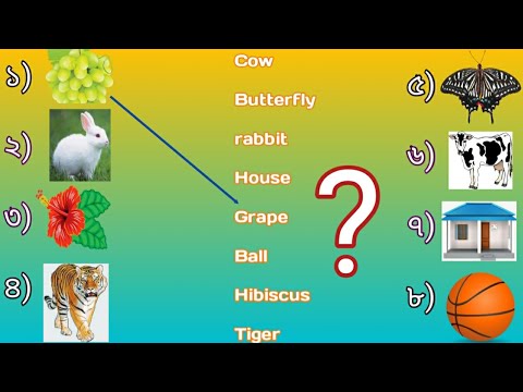 match the pictures with their name | lkg ukg class evs Worksheets | match picture with sentence