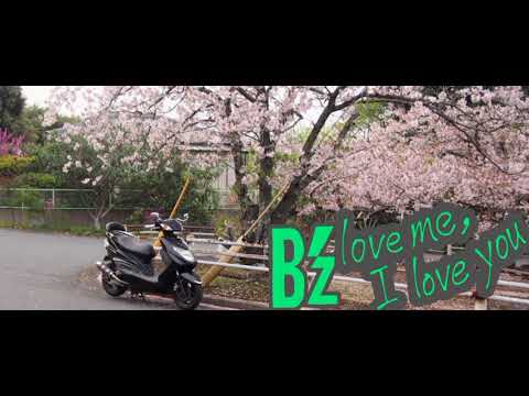 (cover)B'z/love me, I love you