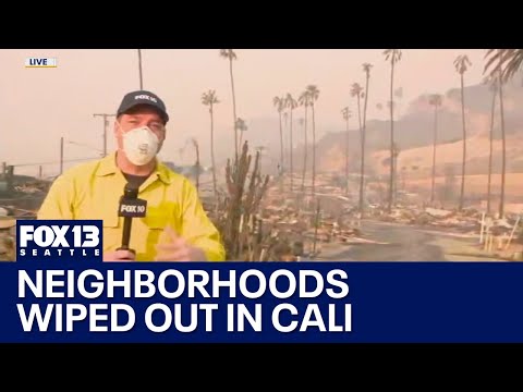 Entire neighborhoods wiped out by Palisades Fire in CA