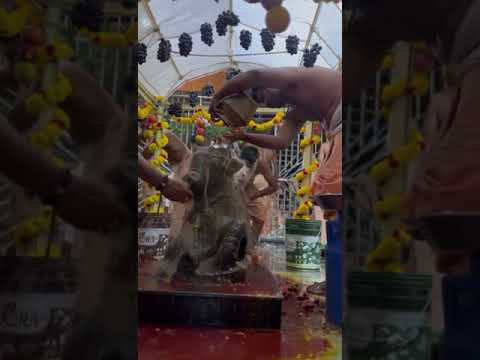 pradosh Pooja #teluguvlogs #viral #temple