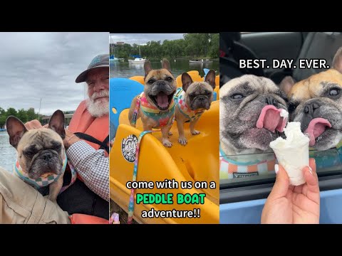 My dogs go on a peddle boat and then get a tasty treat!