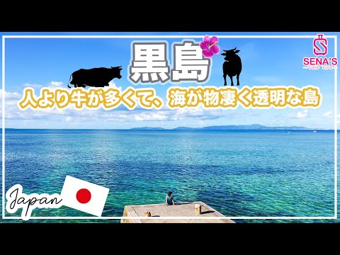 【牛が人の10倍いる黒島】びっくりするぐらい透明な海とのどかな景色に感動する島　観光スポット多数！モデルコースを紹介