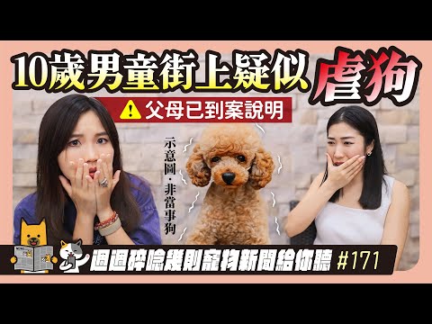 EP. 171 十歲男童街上疑似虐狗 父母到案說明｜毛爸媽碎碎唸