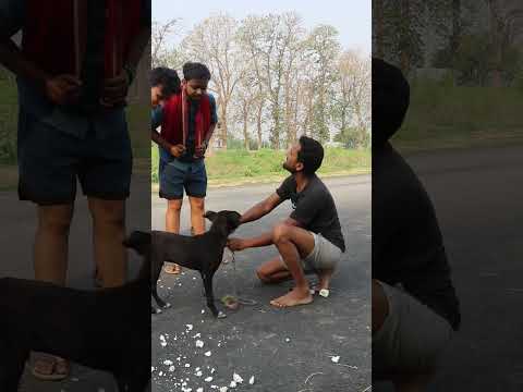 Neta jee short comedy video #ytshorts #viral #reels