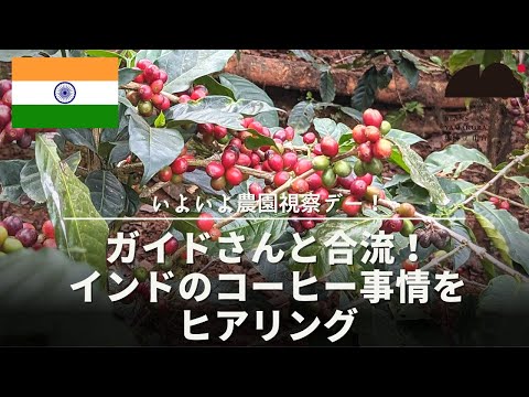 いよいよコーヒー農園視察！農園に行く道中で、ガイドさんにインドコーヒー事情をヒアリング！