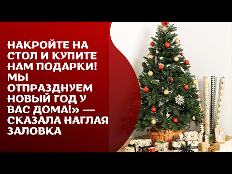 Накройте на стол и купите нам подарки! Мы отпразднуем Новый год у вас дома! — сказала наглая заловка