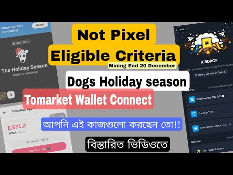 Not pixel eligible criteria | Dogs Airdrop New Season | Tomarket Wallet Connect