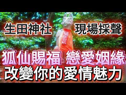 顯化 愛情 音樂  4096Hz～淨化舊業力～狐狸使者注能 神戶生田神社⛩️ 吸引力法則❤️守護你的姻緣 ⛩️ 催旺你的桃花魅力❤️‍🔥讓TA對妳產生好感❤️鎖心❤️‍🔥變成桃花萬人迷（版主現場採聲）