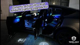 NEW TESLA Ambient Lights Installation Tutorial🔥 (TESLASY Ultra RGB Ambient Lighting)