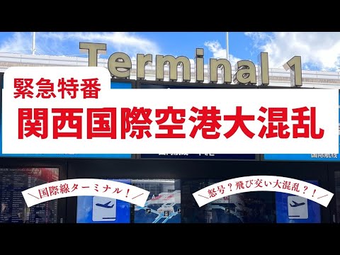 【空港】年末緊急特番！関西空港が大変なことになっています！！利用予定の方はこれ見て！