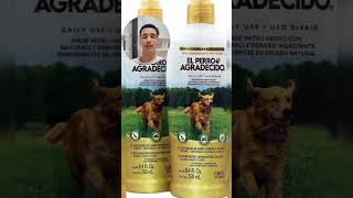 Transform Your Dog's Grooming Routine with Anti Odor Spray® | Eliminate Odors & Shine Coat Naturally