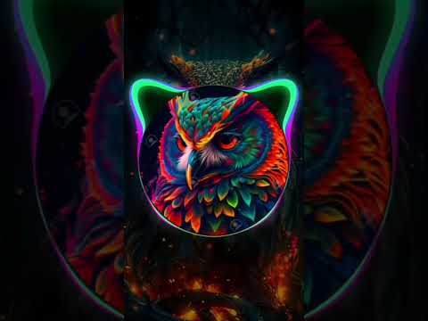 ⚡__HIGHER_ 💫🙉🔊🎼🙉_BASS_OWL__⚡