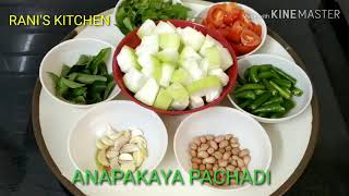 Anapakaya pachadi tasty sorakaya pachadi Bottle gourd chutney in telugu with english subtitles