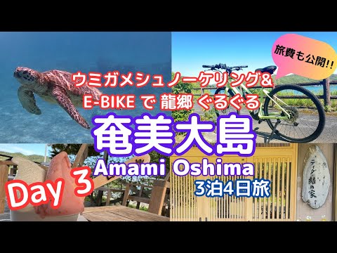 [Amami Oshima  4 Days #3] Sea turtle snorkeling and E-BIKE in Ryugo Town Cycling &  "Tida Yui no Ie"