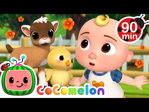 Learn Farm Animals with Baby JJ! | CoComelon Nursery Rhymes and Kids Songs | Animals for Kids