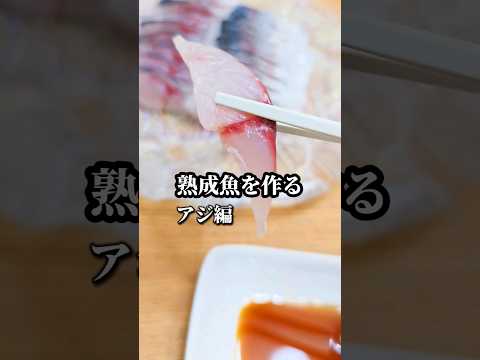 家庭でできる熟成アジの作り方　魚の保存にも #熟成魚 #刺身 #魚の捌き方