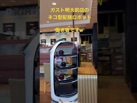 ガスト明大前店のネコ型配膳ロボット BellaBot #shorts