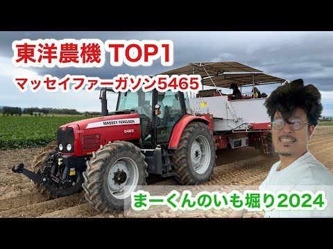 【東洋農機】TOP1でいも収穫【トラクター】MF5465まーくんの芋掘り2024