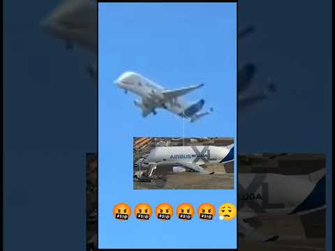 #funny #airbusbeluga  xl!!?