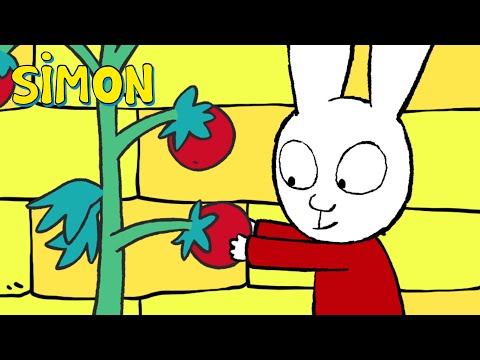 Mr. Mess it up | Simon | Season 1 Full Episode | Cartoons for Kids