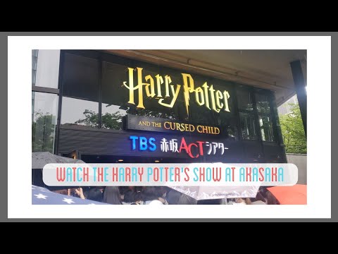 ハリーポッターと呪いの子を鑑賞しようとしたら呪いの日だった[VLOG]HARRY POTTER舞台