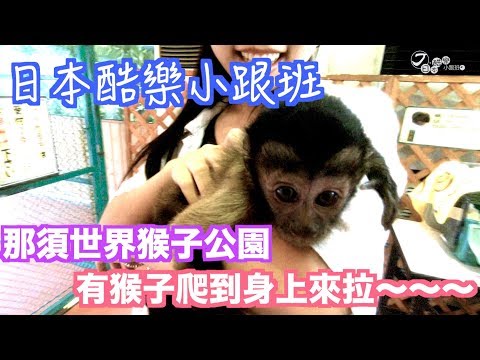 【日本酷樂小跟班】猴子爬上身！？那須世界猴子公園ふれあい廣場，讓你化身猴子爸猴子媽～