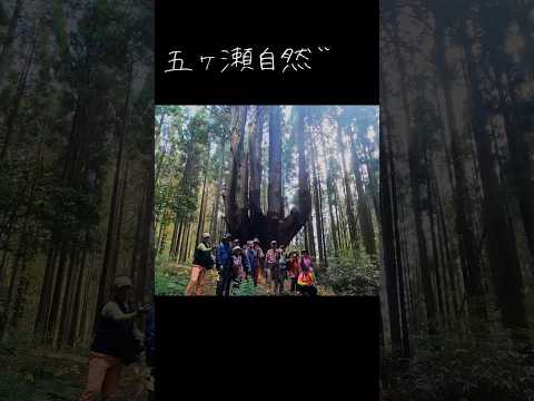 笠部フットパス【秋づく】ショートver#shorts #フットパス#五ヶ瀬自然学校