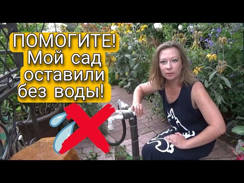 ПОМОГИТЕ! МОЙ САД ОСТАВИЛИ БЕЗ ВОДЫ! Беспредел в СНТ Таволга | ПЛАТИ И МОЛЧИ | Светлана Самойлова