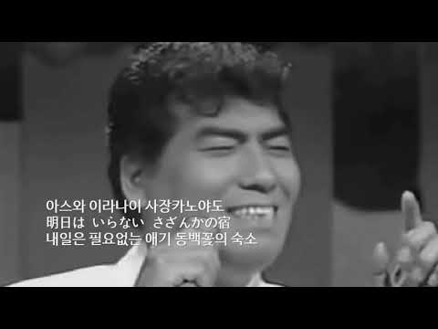 나훈아 - 애기 동백꽃의 숙소 (さざんかの宿)