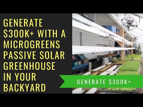 Generate $300k+ With A Microgreens Passive Solar Greenhouse in Your Backyard