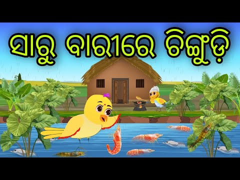 ସାରୁ ବାରୀରେ ଚିଙ୍ଗୁଡ଼ି | Saru Barire Chingudi | Tiki Chadhei Gapa | Odia Chadhei Gapa | New Story