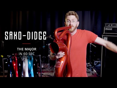 Saxo-Didge - The Major Video Ad