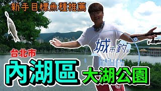 台北市內湖區大湖公園(路亞)熱愛陽光的救生員，新手入門魚種推薦輕輕鬆鬆好上手