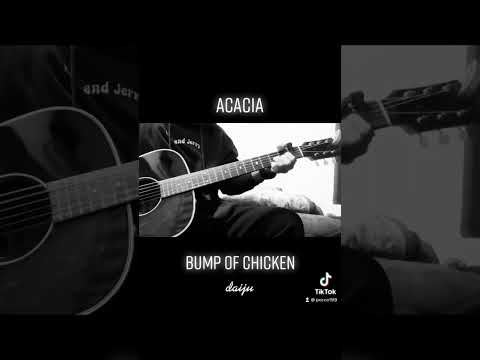 【Daiju】Acacia BUMP OF CHICKEN