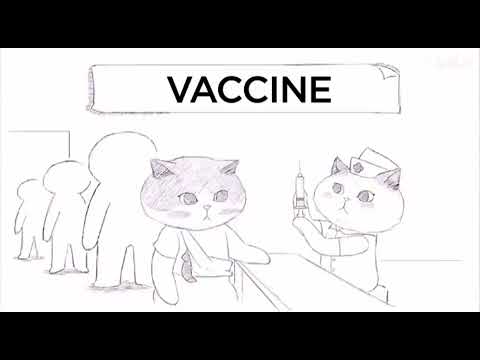 Science Animation -- When the COVID-19 vaccine enters the human body